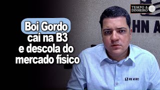 Boi gordo cai na B3 e descola do mercado físico que reduziu ritmo de altas  Hyberville Neto comenta [upl. by Siletotsira]