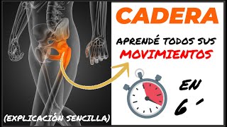 🥇 CADERA y sus MOVIMIENTOS ARTICULARES biomecánica anatomía  Articulacion Coxofemoral [upl. by Yluj34]