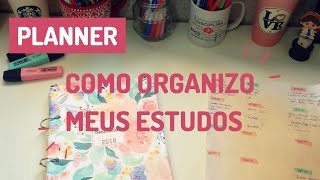 MEU PLANEJAMENTO DE ESTUDOS l PLANNER PARA RESIDÊNCIA MÉDICA [upl. by Derreg575]