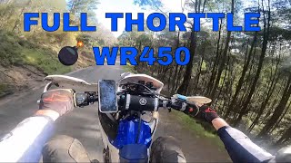 ULTRA HD RAW  YAMAHA WR450 HIGH SPEED RUN through AUSTRALIAN RAINFOREST [upl. by Timi]