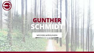 Gunther Schmidt zur Wechselwirkung [upl. by Barnabe573]