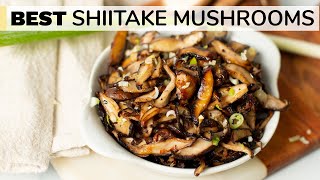 SHIITAKE MUSHROOMS RECIPE  how to cook shiitake mushrooms [upl. by Fira986]