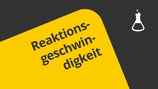 Reaktionsgeschwindigkeit und Reaktionsordnung ein Überblick  Chemie  Physikalische Chemie [upl. by Nawuq]