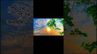 Hawai Hawai Dolna Dole হাওয়ায় হাওয়ায় দোলনা দোলে  HabibWahid Nancy  Bangla Song shortvideo song [upl. by Eillen549]