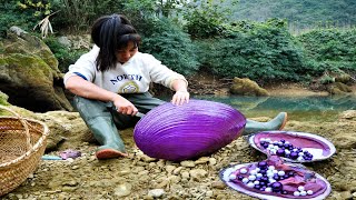 The water emitted a strange light and the girl discovered a huge purple clam filled with wealth [upl. by Ormand473]