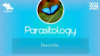 L2  Fasciola gigantica and fasciola hepatica  Parasitology [upl. by Thayne]