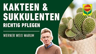 Kakteen und Sukkulenten richtig pflegen [upl. by Nnyliram]