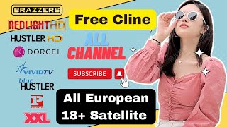 How To Create Free Cccam cline Panel  All Satellite Cline Videocon d2h All HD SD Adult 18 Channel [upl. by Davie]