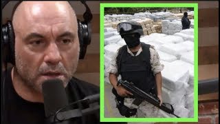 Joe Rogan  Mexican Drug Cartels Are There Any Solutions wIoan Grillo [upl. by Aynotak924]