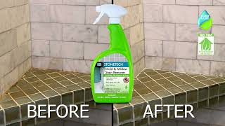 How to Clean Mold and Mildew from Stone Tile and Grout with STONETECH Mold amp Mildew Stain Remover [upl. by Tirma]