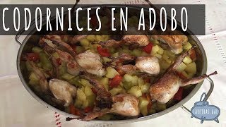 CODORNICES EN ADOBO  Lareirasgal [upl. by Winna]