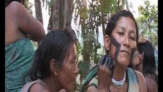 Amazon Tribes of the Xingu [upl. by Needan]