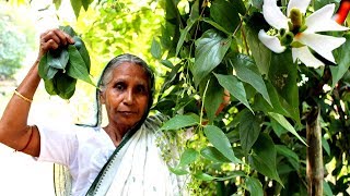 Village Food  Delicious Night Jesmin Leaf Recipe by our Grandmas Kitchen  Sugar Patient Food [upl. by Cornel]