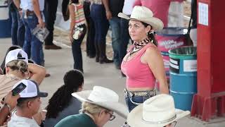 Beautiful Horses at Ranch Riding Reining Competition Expo Liberia part 4 [upl. by Keenan]