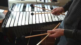 The Vibraphone Explained  and Why I Have One Now [upl. by Ynehteb732]