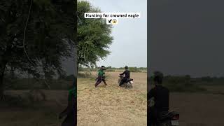 Hunting for crowned eagle 🦅😱 crowned eagle hunting farming farmer shorts [upl. by Tegdirb]