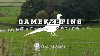 Gamekeeping The Mini Series  Pheasant E4 [upl. by Glynn]