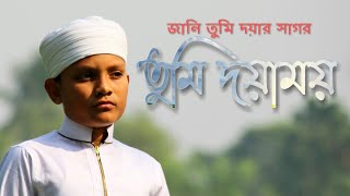 নতুন হৃদয়াকর্শীত গজলজানি তুমি দয়ার সাগর তুমি দয়াময়New Islamic Song♪Alokprova [upl. by Anaujit59]