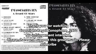 Tyrannosaurus Rex  A Beard of Stars 1970 Full Album [upl. by Anderer]