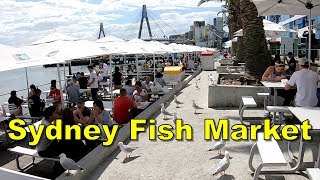 Sydney Fish Market  Sydney Australia [upl. by Hutner]