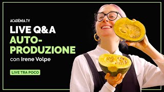 Live QampA di Autoproduzione con Irene Volpe [upl. by Martainn995]