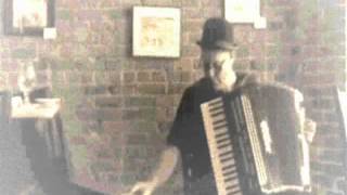 Papillon Theme On Accordion amp Toy Piano [upl. by Tudor594]