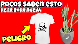 👚 ¡UNA AMENAZA SILENCIOSA Mira esto si compraste ROPA NUEVA [upl. by Weisbart]