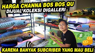 CHANNA DIJUAL REVIEW HARGA SEMUA CHANNA DI GALLERI BOS BOS QU [upl. by Dnalhsa]