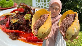 SIPUT LAUT BERCILI PETAI  PERGHH PEDAS BERAPI ‼️ RARE SEA SNAIL [upl. by Adnorrehs]