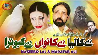 Ve Kaliya Ve Kanwan Ve Kabootra  Naseebo Lal amp Maratab Ali  Super Hit Sad Song  SM Gold [upl. by Gideon]