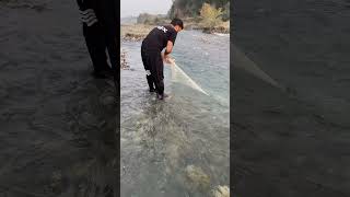 Crystal clear water beautiful viewfishinguk fishing naturefishing fish [upl. by Feola]