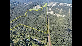 134 acres  FM 1375  New Waverly Texas [upl. by Aysan]