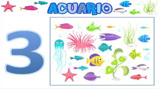 ACUARIO Alicia Rodelgo [upl. by Alhan]