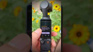 djiosmo osmoglobal shortsvideo djiosmopocket3 [upl. by Proctor917]