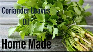 Coriander oil Homemade For hairfall controldouble hair growth [upl. by Htevi243]