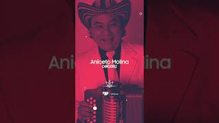 Aniceto Molina DON GOLLO anicetomolina cumbia navidad 2024 shorts parati [upl. by Frye]