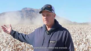 Gowan Cotton Company  MexPima Cotton  Rancho el Mezquite [upl. by Brandais]