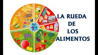 La rueda de los alimentos [upl. by Mcgray472]