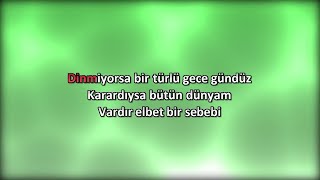 Sezen Aksu  Kaç Yıl Geçti Aradan  Karaoke  Full HD [upl. by Oirevlis935]