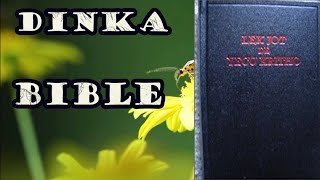 DINKA BIBLE WEET AUDIO [upl. by Enyawud]