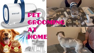 I Groomed my Dog with ONEISALL PET GROOMING VACUUM Amazon [upl. by Heywood302]