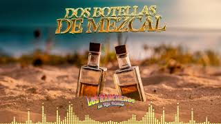 Los Rancheros de Río Maule  Dos Botellas de Mezcal Visualizer [upl. by Stevena]