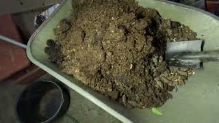 Amending YOUR soil Dont be fooled by YouTube vids trying to sell you stuff JUST ADD WATER [upl. by Anitnemelc]