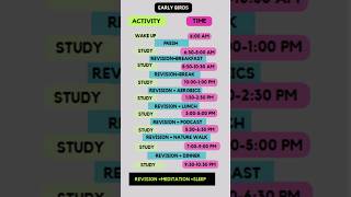 12 Hours Study Schedule For Early Bird And Night Owl No Burnouts study Motivation shorts [upl. by Haliehs]