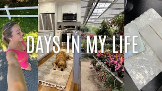 HOME VLOG new rugs backyard landscaping plans kitchen tile shopping etc [upl. by Way]