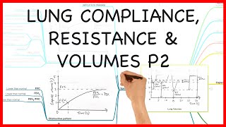 LUNG COMPLIANCE RESISTANCE amp VOLUMES PART 2  PHYSIOLOGY SERIES [upl. by Lletnohs824]