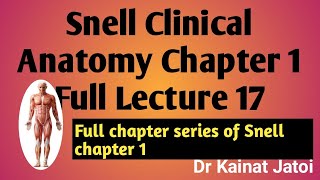 Snell Clinical Anatomy Chapter 1 Lecture 17 Part 13 Parasympathetic System AnatomyDr Kainat Jatoi [upl. by Urial]