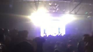 Flatbush Zombies Palm Trees Live in Houston [upl. by Annas]