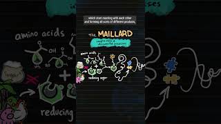 What IS the Maillard reaction cooking food yum GBD [upl. by Lennor]