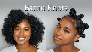 Bantu Knot Out Tutorial  On Wet Natural Hair [upl. by Phedra]